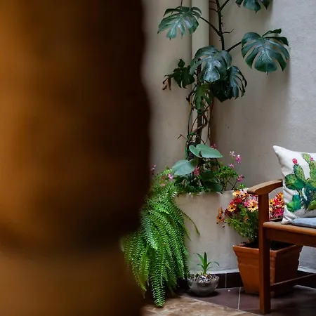 Carella Παλέρμο