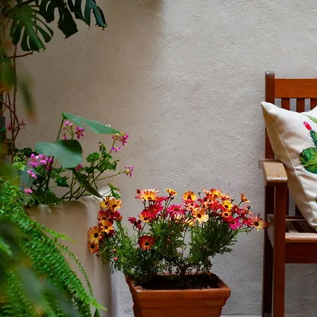 Bed and Breakfast Carella Παλέρμο