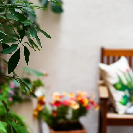 Carella Bed & Breakfast